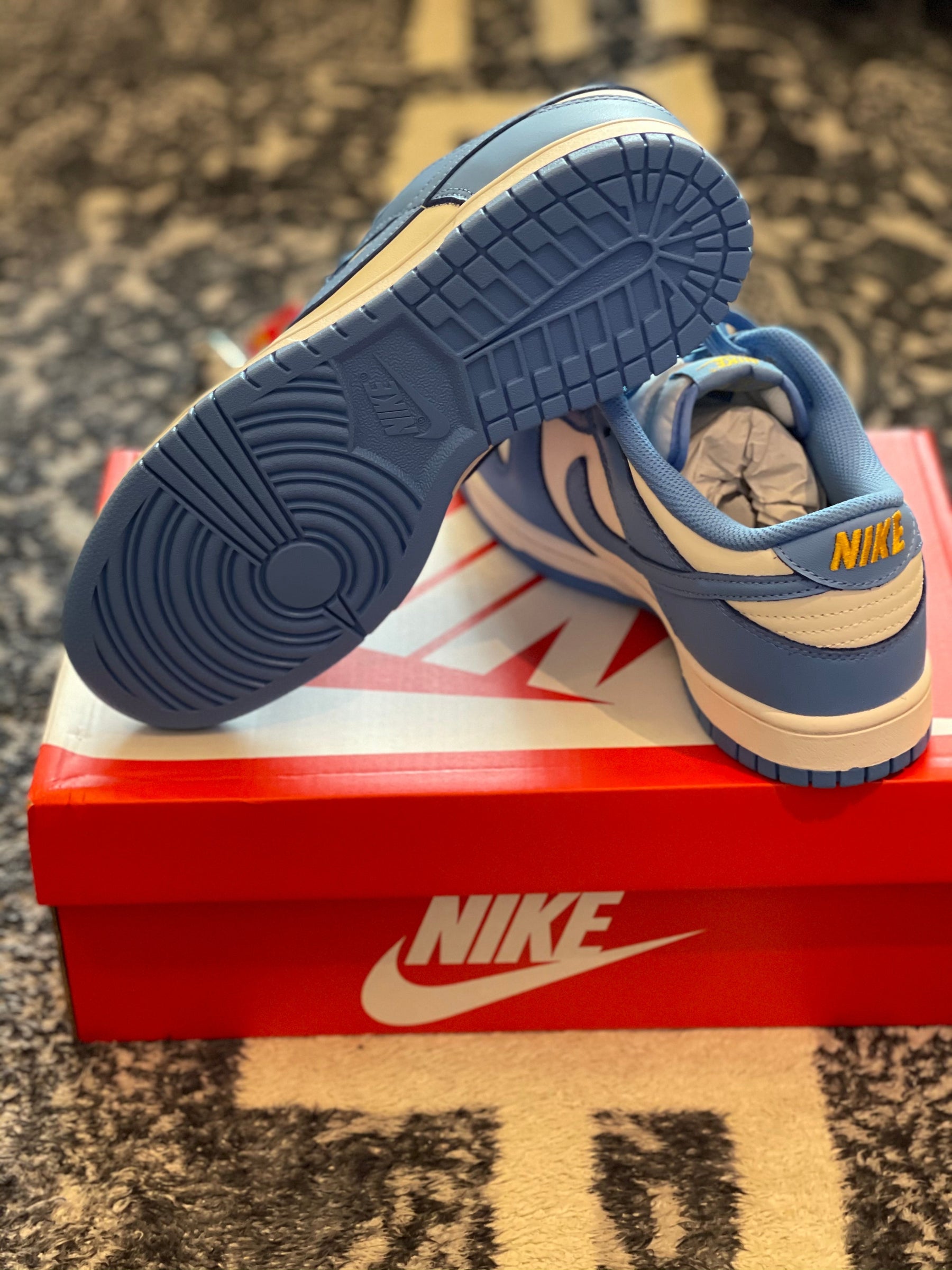 TENIS NIKE DUNK LOW "COAST"