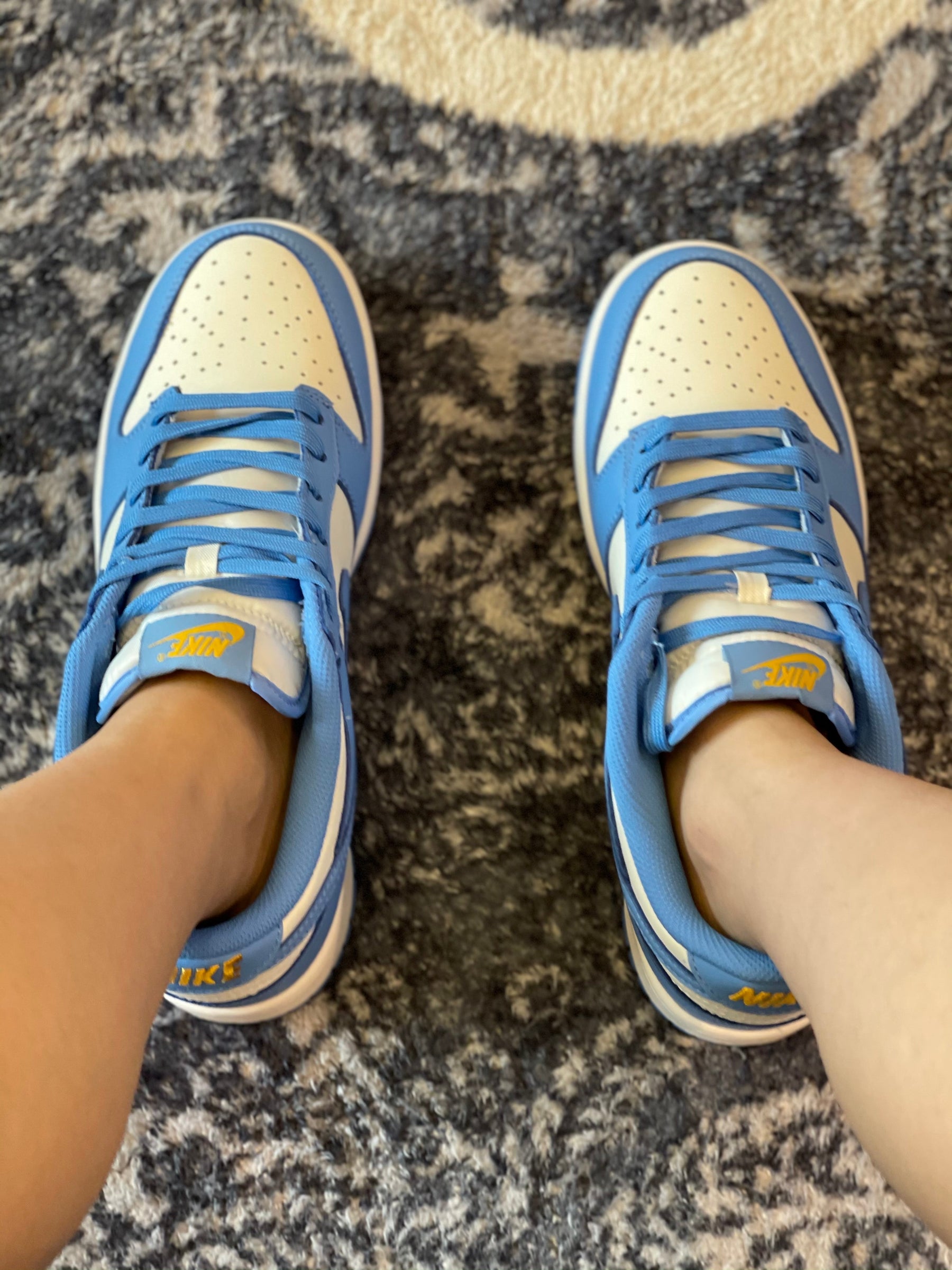 TENIS NIKE DUNK LOW "COAST"