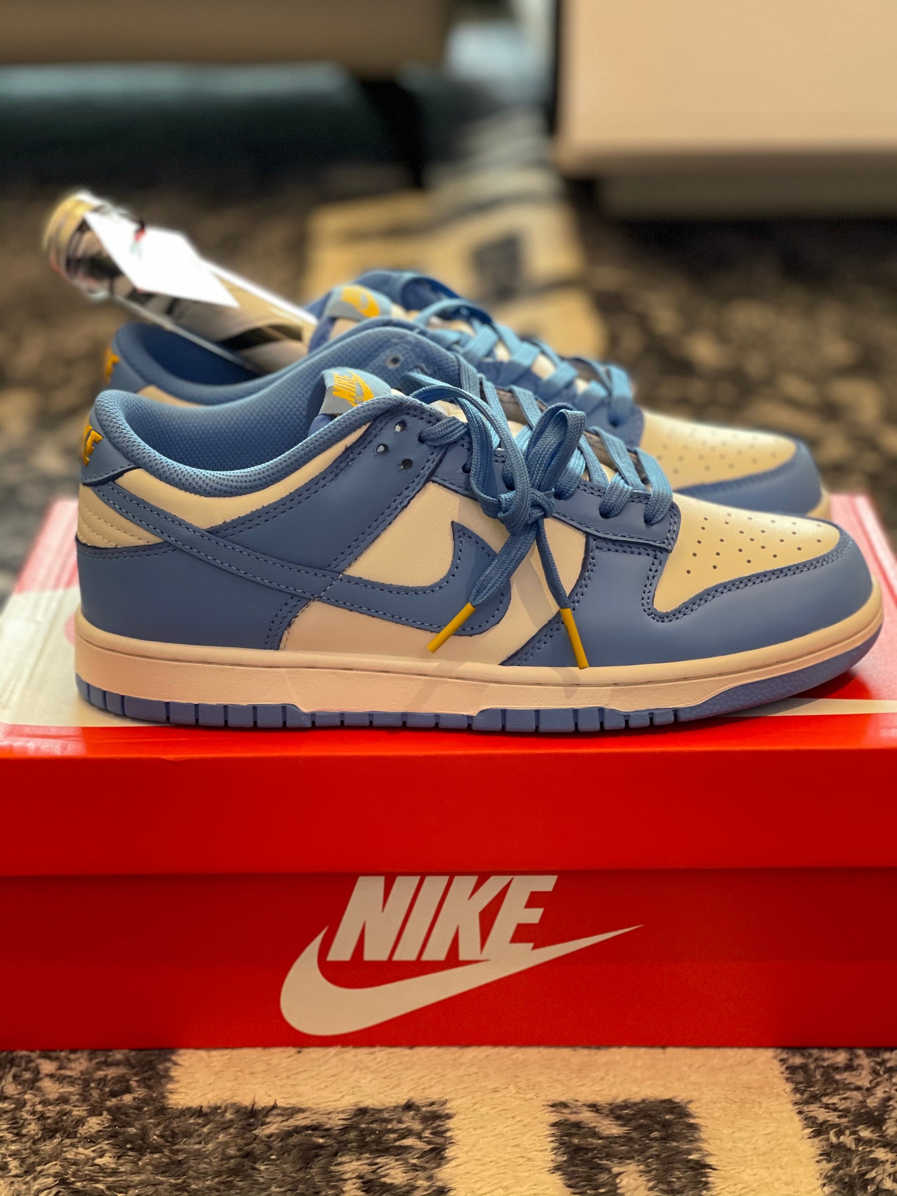 TENIS NIKE DUNK LOW "COAST"